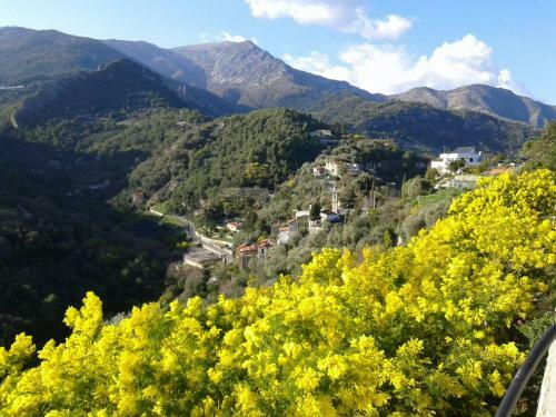 Apartamento Il Casotto Del Nonno