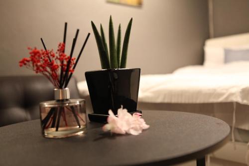 Apartamento Charm Stay House