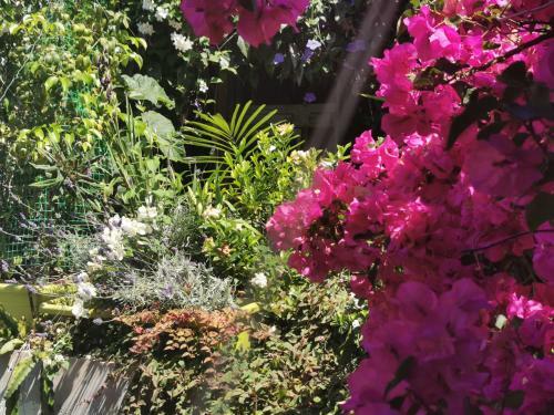 Hostal Romantic Casa Lorenzina Affittacamere