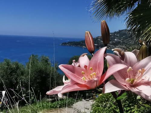 Hostal Romantic Casa Lorenzina Affittacamere