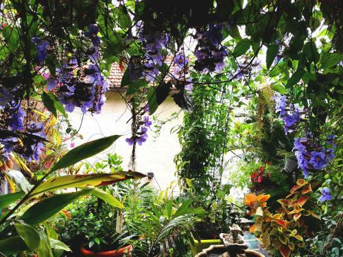 Hostal Romantic Casa Lorenzina Affittacamere