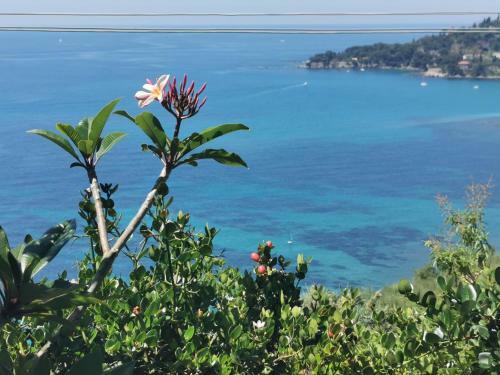 Hostal Romantic Casa Lorenzina Affittacamere