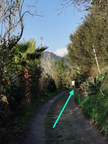 Hostal Romantic Casa Lorenzina Affittacamere