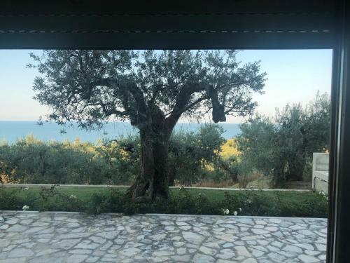 Hostal Villa Sami