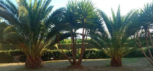Bed & Breakfast Villa Martina
