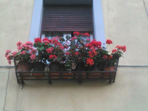 Apartamento La Casa Dei Fiori