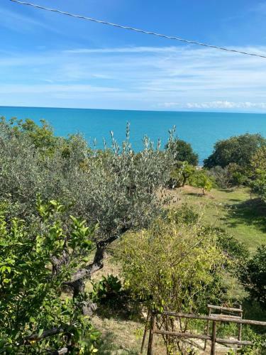 La Casetta Di Olga