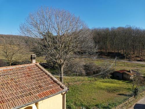 Bed & Breakfast Casa Francigena