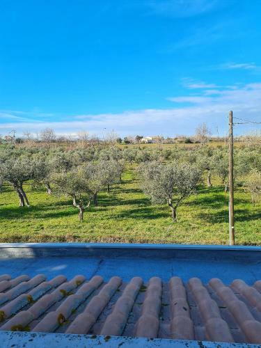Villa Dimora Felice Vasto
