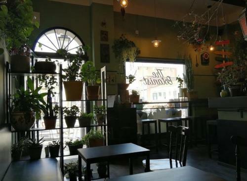 Bed & Breakfast Xenia, Vasto
