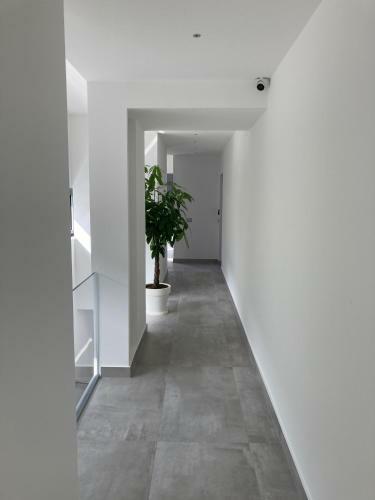 Apartamento Residenza Timpa Janca