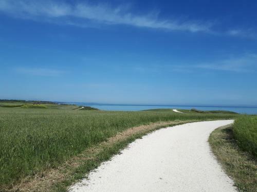 Nel Cuore Di Vasto