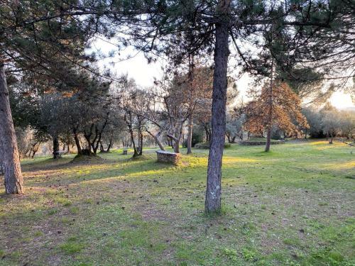 Banditina - Tenuta Di Montechiaro
