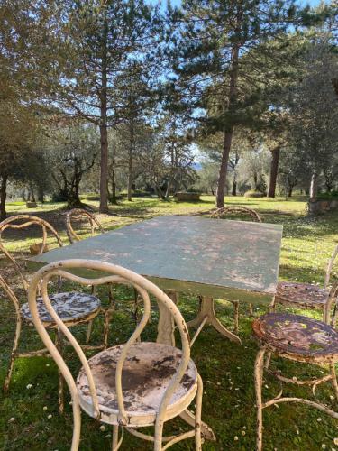 Banditina - Tenuta Di Montechiaro