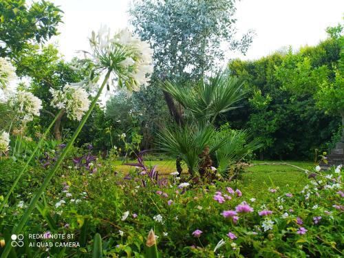 Hostal Casa Natura E Relax