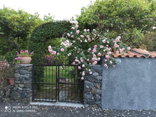 Hostal Casa Natura E Relax