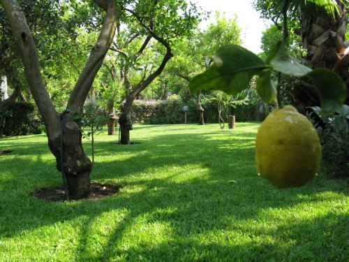 Hostal Casa Natura E Relax