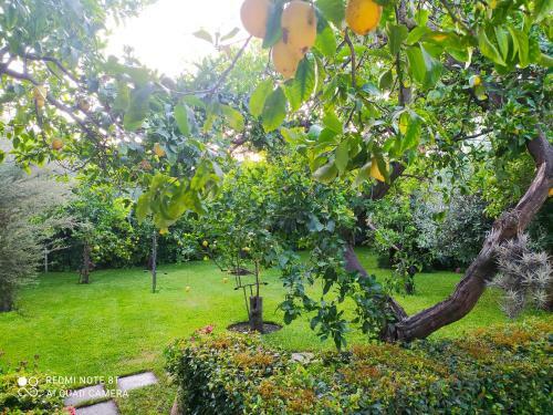 Hostal Casa Natura E Relax
