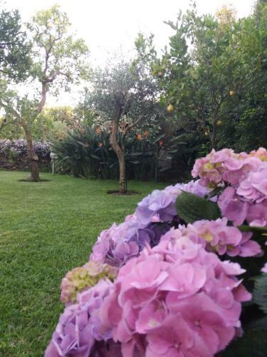 Hostal Casa Natura E Relax