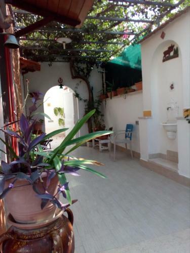 Murgenere B&B