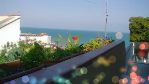 Murgenere B&B