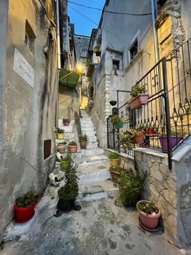 Arcaroli Borgo Vico