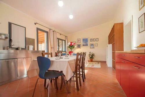 Villa Under The Tuscan Sun