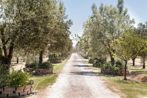 Villa Under The Tuscan Sun