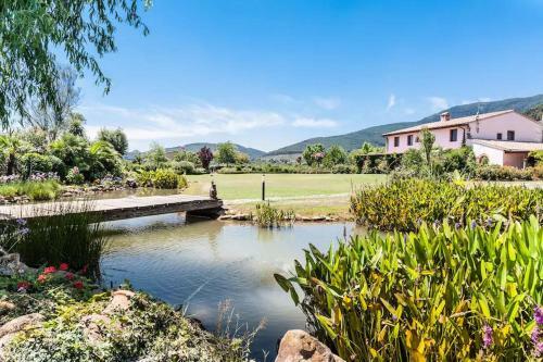 Villa Under The Tuscan Sun