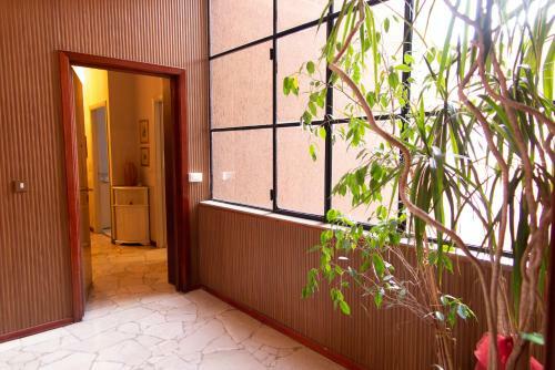 Apartamento Appartamento Santa Rita