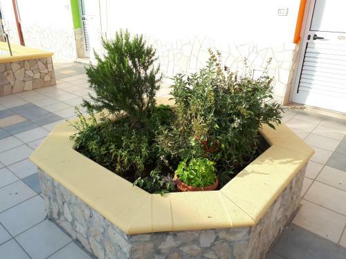 Hostal Oltremare