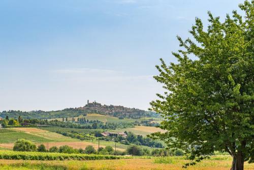 Bed & Breakfast Belcasale