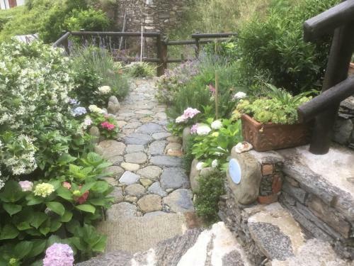Hostal Camere Giuliano Basso