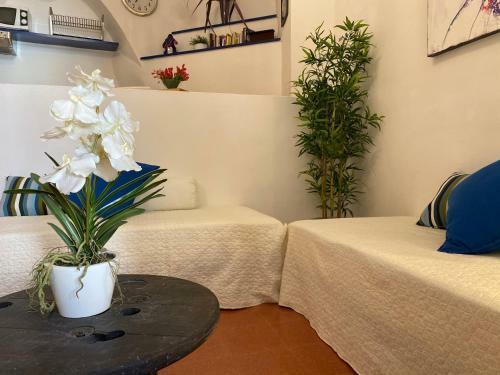 La Verde Di Vernazza - Art Studio - Ac&wifi - Vernazzarentals