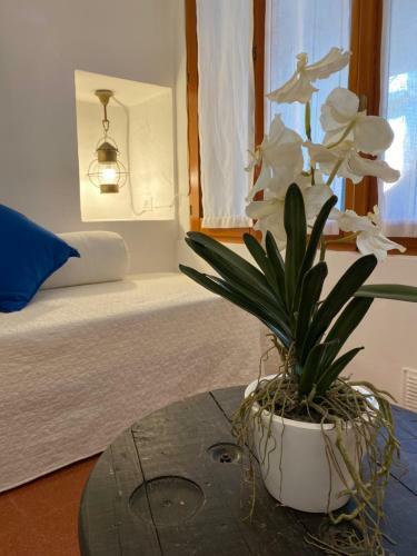 La Verde Di Vernazza - Art Studio - Ac&wifi - Vernazzarentals