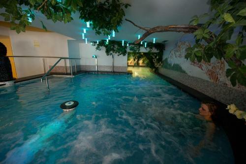 Family & Wellness Hotel Fontana
