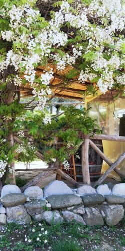 Bed & Breakfast Giardino 21 Marzo