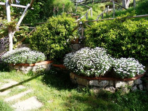 Bed & Breakfast Giardino 21 Marzo