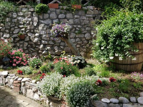 Bed & Breakfast Giardino 21 Marzo