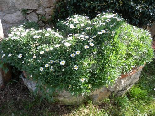 Bed & Breakfast Giardino 21 Marzo