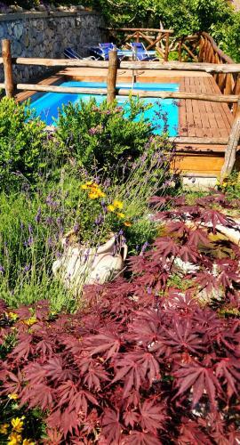 Bed & Breakfast Giardino 21 Marzo