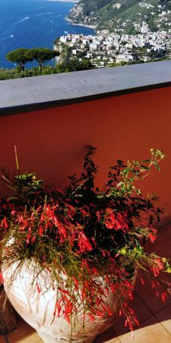 Bed & Breakfast Giardino 21 Marzo