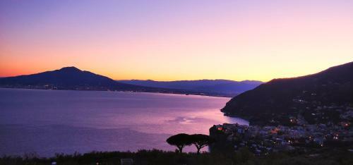 Bed & Breakfast Giardino 21 Marzo