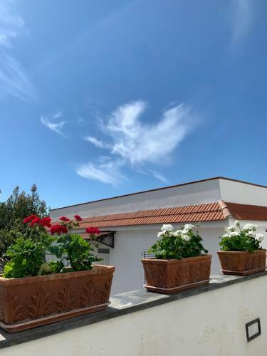 Bed & Breakfast La Casa Del Sole