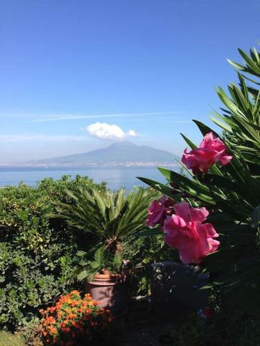 Villa Bikini On Sorrento Coast
