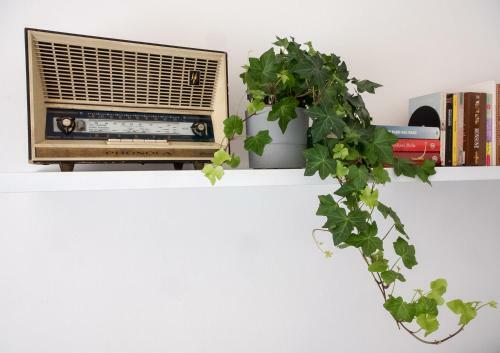 Apartamento Apt Luminoso, Tranquillo Con Parcheggio E Bici