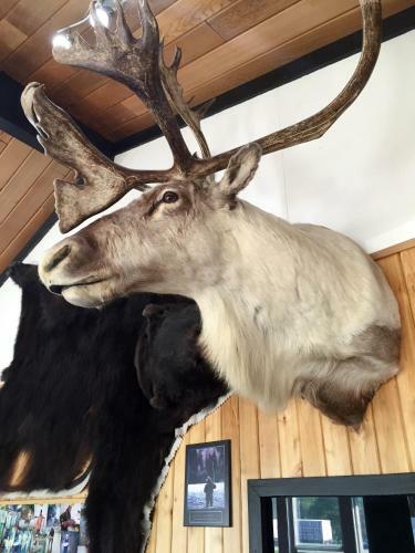 Copper River Motel