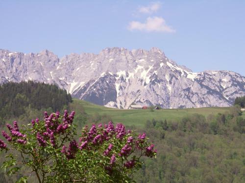 Apartamento Appartements Kofler