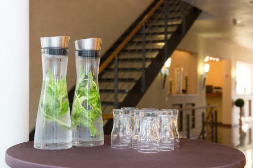 Hotel Plaza Suites R�sselsheim