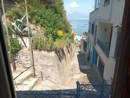 Bed & Breakfast Sea View Apartment